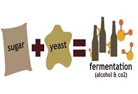 �]�д���17�ȵ����ѾƆ���