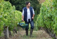 ᄾ����ѷNֲ�������h��