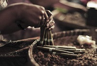 �ϵ�ѩ�ѵ��b�e����