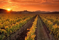 ��Մ������8̖�ƽ�