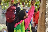 �ž���ꖣ�Ʒһ���r���������Ѿ�