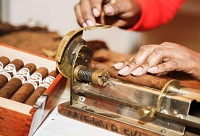 �����b�e�ϵ�ѩ��