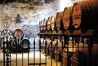 ��ؾƹ�������ͯ�ĵ����Ѿ�