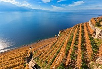 ��ɽ�ǡ��ļ���Ȼɽ���ƽ�