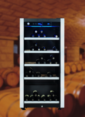 WT-Y73�����䣩